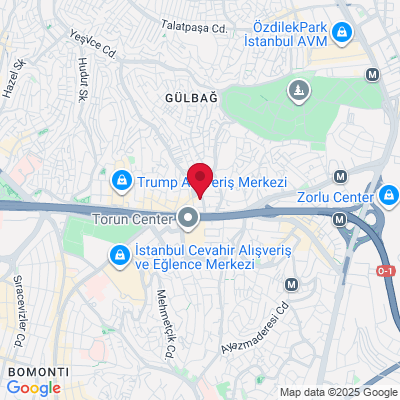 Google Maps static image